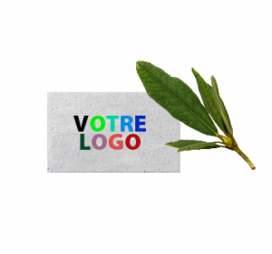 GRAINE